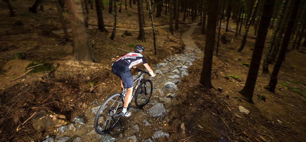 Ubytování U Kapličky Nove Mesto na Morave Exterior foto