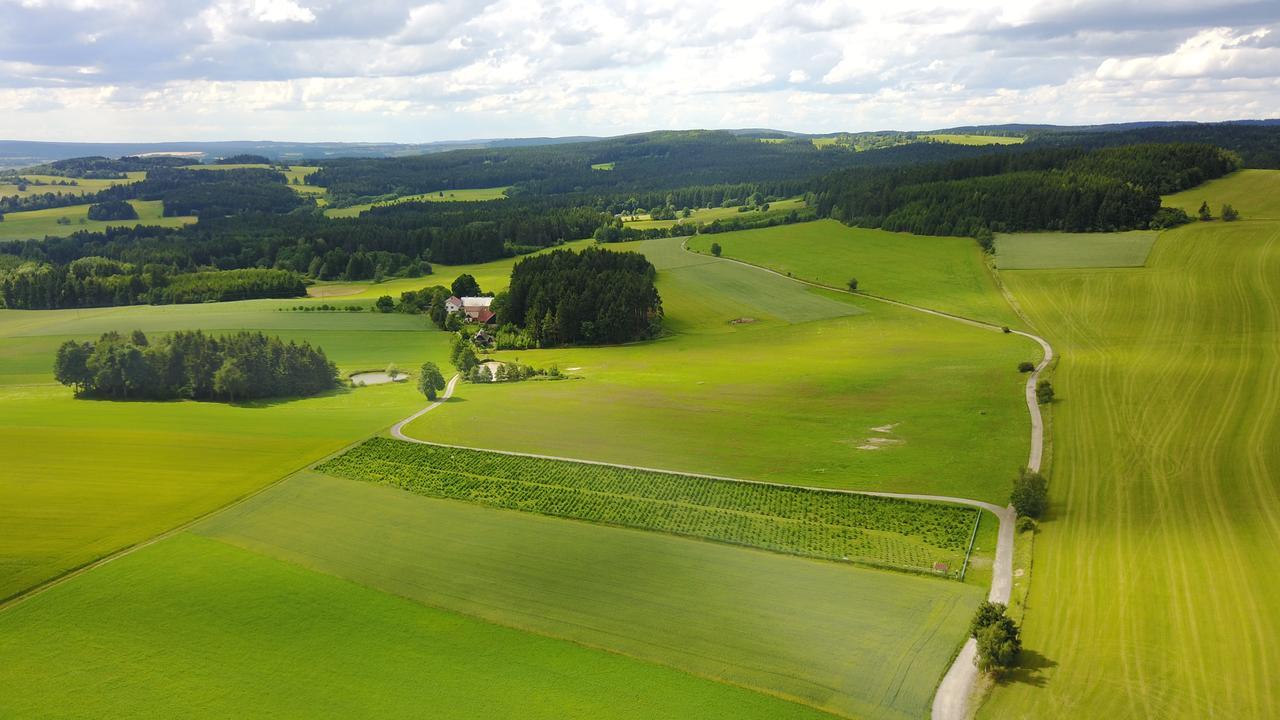 Ubytování U Kapličky Nove Mesto na Morave Exterior foto